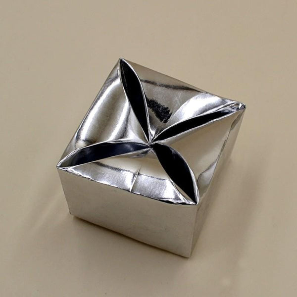 Bidh Box Plain Silver (Pack of 10) - Basics.Pk