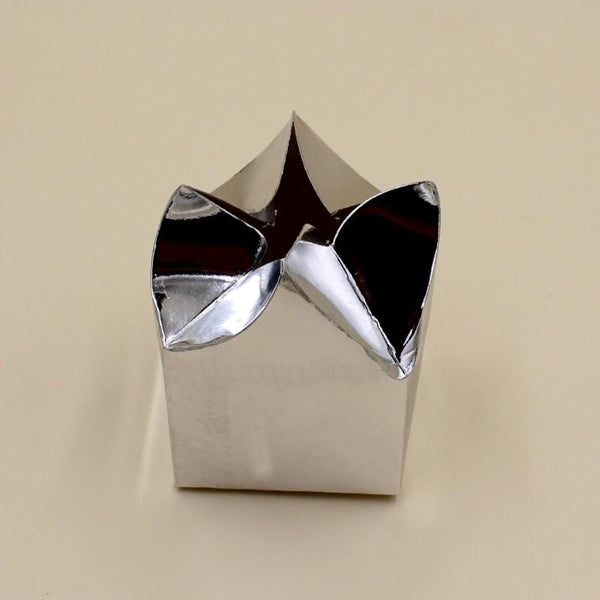 Bidh Box Plain Silver (Pack of 10) - Basics.Pk