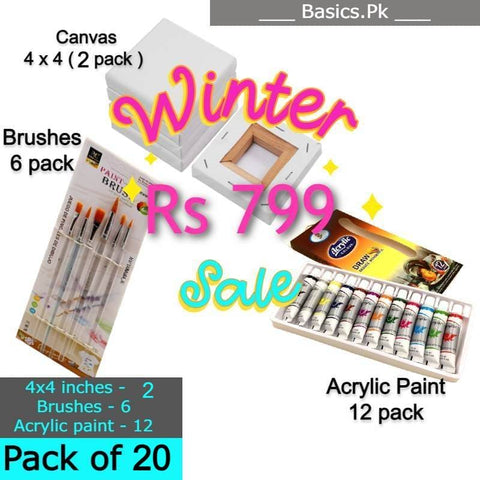 Art Pack of 20 - 12 Professional Acrylic paint + 2 Canvases + 6 Brushes