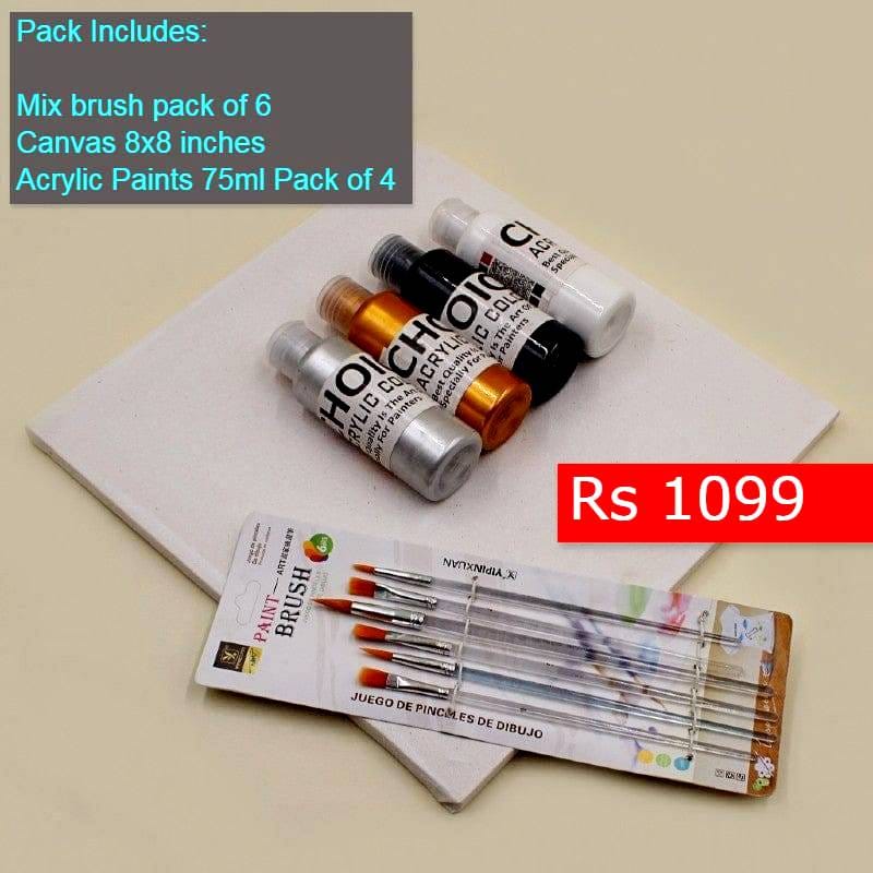 Art Deal Pack of 4 Acrylic paint 75ml Bottles + 6 Mix Brushes + Canvas
