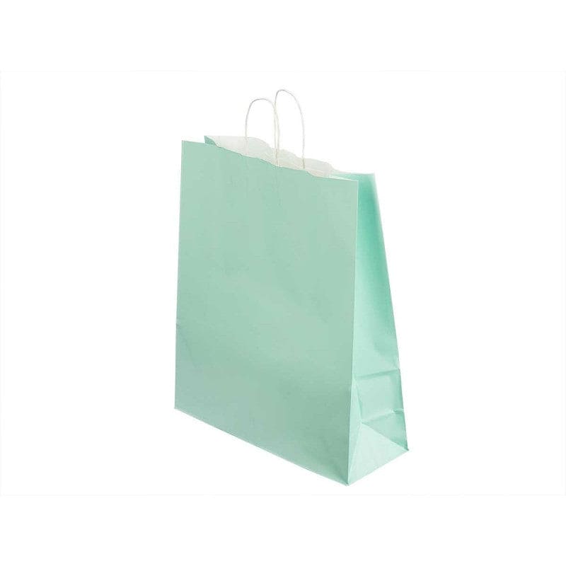 Goody Bag ( Gift Paper Bags) 10x8 inches Light Green ( pack of 12)