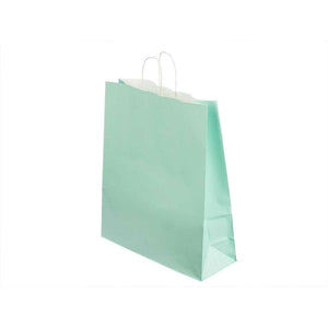 Goody Bag ( Gift Paper Bags) 10x8 inches Light Green ( pack of 12)