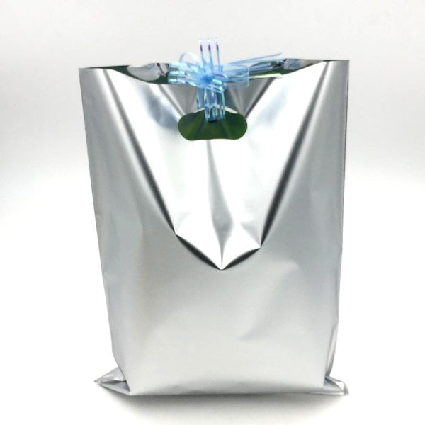 Goody Bags 10 Metallic Silver - Basics.Pk