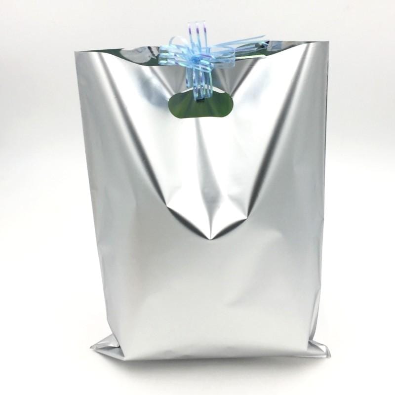 Goody Bags 10 Metallic Silver - Basics.Pk