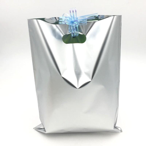Goody Bags 10 Metallic Silver - Basics.Pk