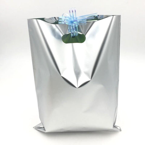 Goody Bags 10 Metallic Silver - Basics.Pk