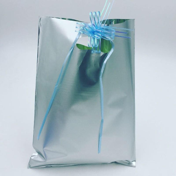 Goody Bags 10 Metallic Silver - Basics.Pk