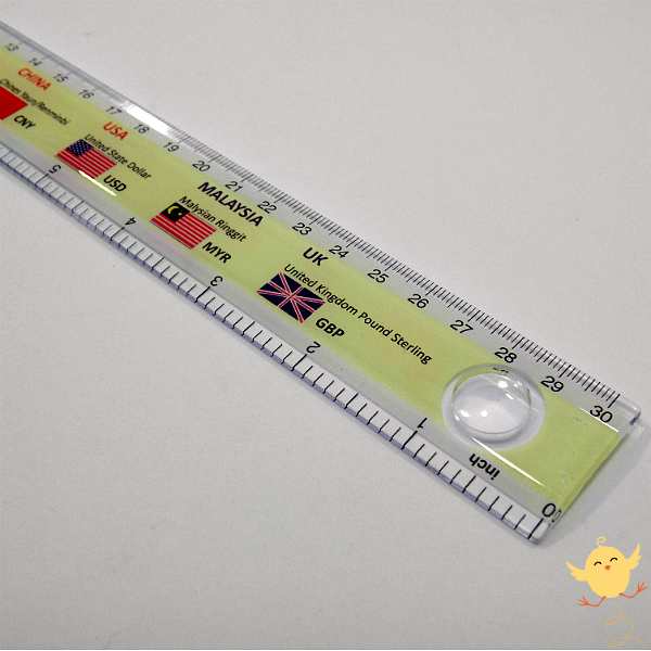 DUX Ruler transparent 12" (30cm)
