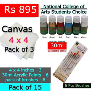 Art Pack of 15 - Acrylic Paint (30ml) + 4x4" Canvas + brushes